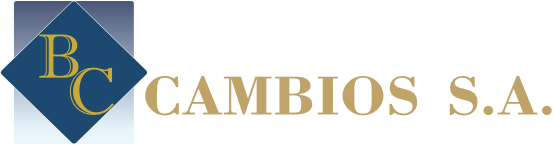 logo bonanza