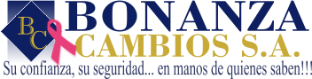 Bonanza Cambios S.A.